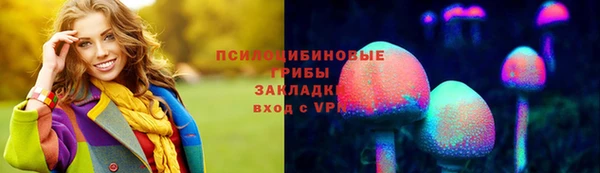 мдпв Сосновый Бор