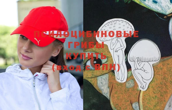 мдпв Сосновый Бор
