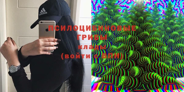 сатива Сосновка