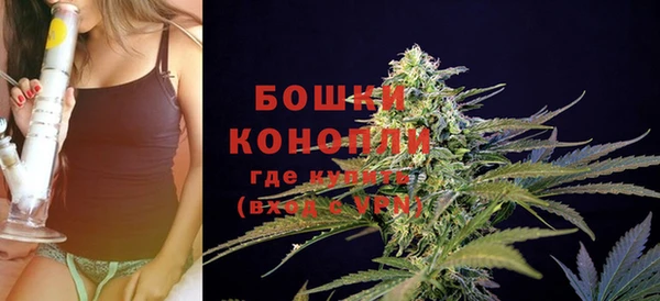 apvp Семилуки